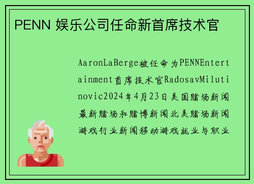 PENN 娱乐公司任命新首席技术官