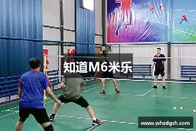 知道M6米乐